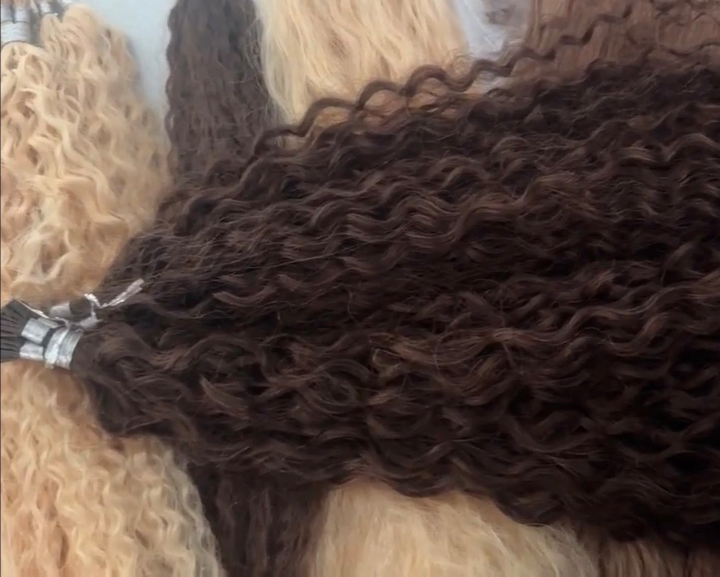 Pre Order - Curly Range