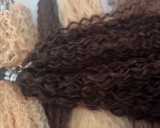 Pre Order - Curly Range